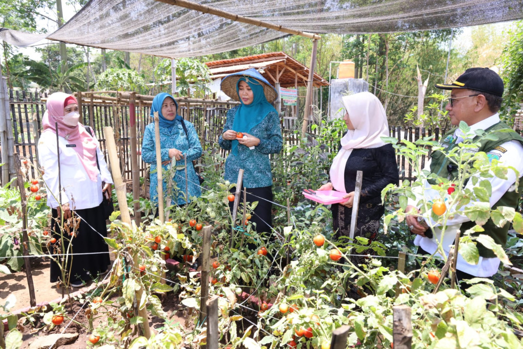 Lomba ASMAN-TOGA Tingkat Kabupaten Pasuruan